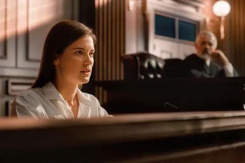 What is the Michigan Friend of the Court?